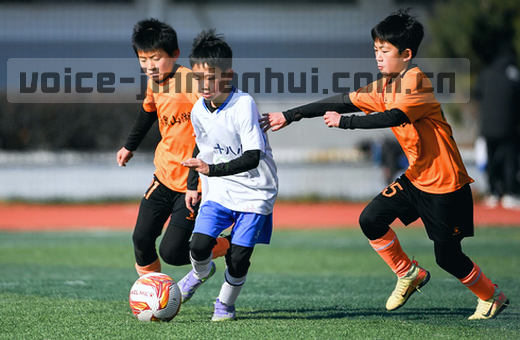 少年跳投篮球应声入网